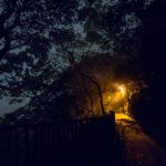 What It’s Like Climbing Story Bridge at Night