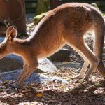 Spring Has Arrived Early in Brisbane With Temperatures Already Topping 30 Degrees